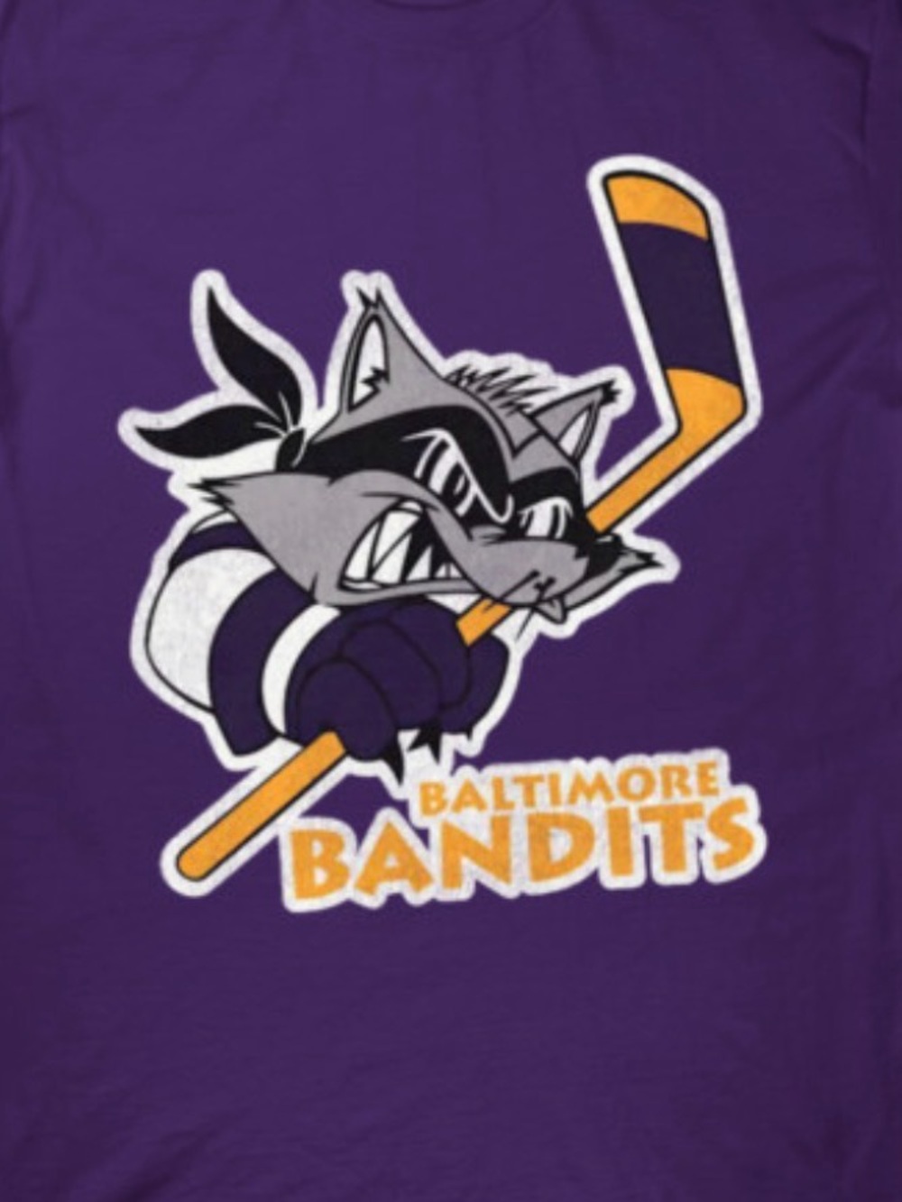 Baltimore bandits king comforter / hockey